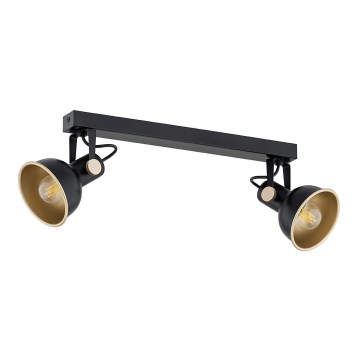 Argon 7142 - Spotlight LENORA 2xE14/7W/230V svart