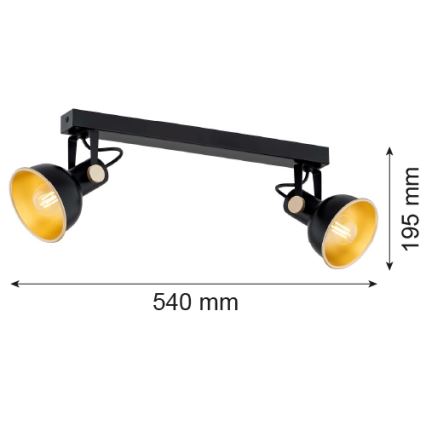 Argon 7142 - Spotlight LENORA 2xE14/7W/230V svart