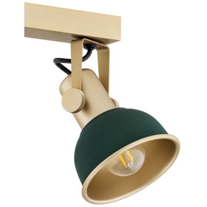 Argon 7143 - Spotlight LENORA 2xE14/7W/230V guld/grön