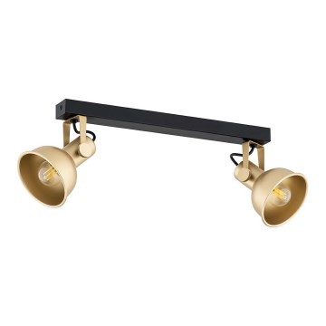 Argon 7144 - Spotlight LENORA 2xE14/7W/230V guld/svart