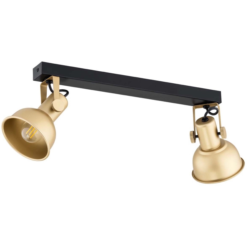 Argon 7144 - Spotlight LENORA 2xE14/7W/230V guld/svart