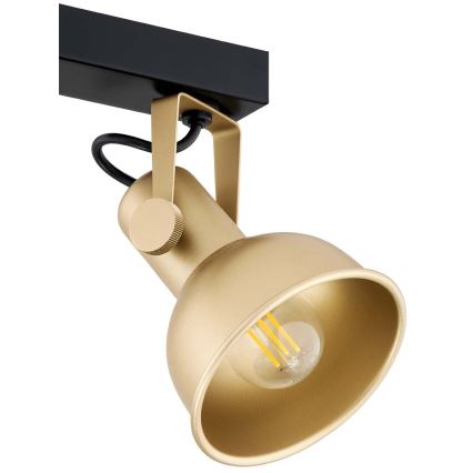 Argon 7144 - Spotlight LENORA 2xE14/7W/230V guld/svart