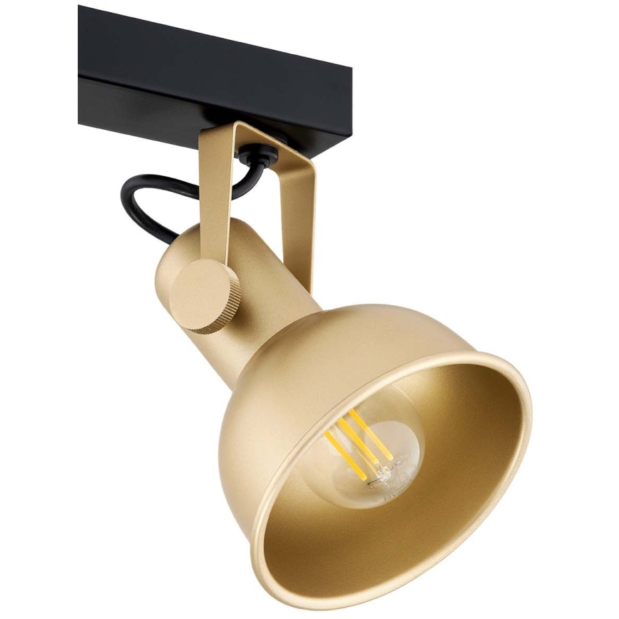 Argon 7144 - Spotlight LENORA 2xE14/7W/230V guld/svart