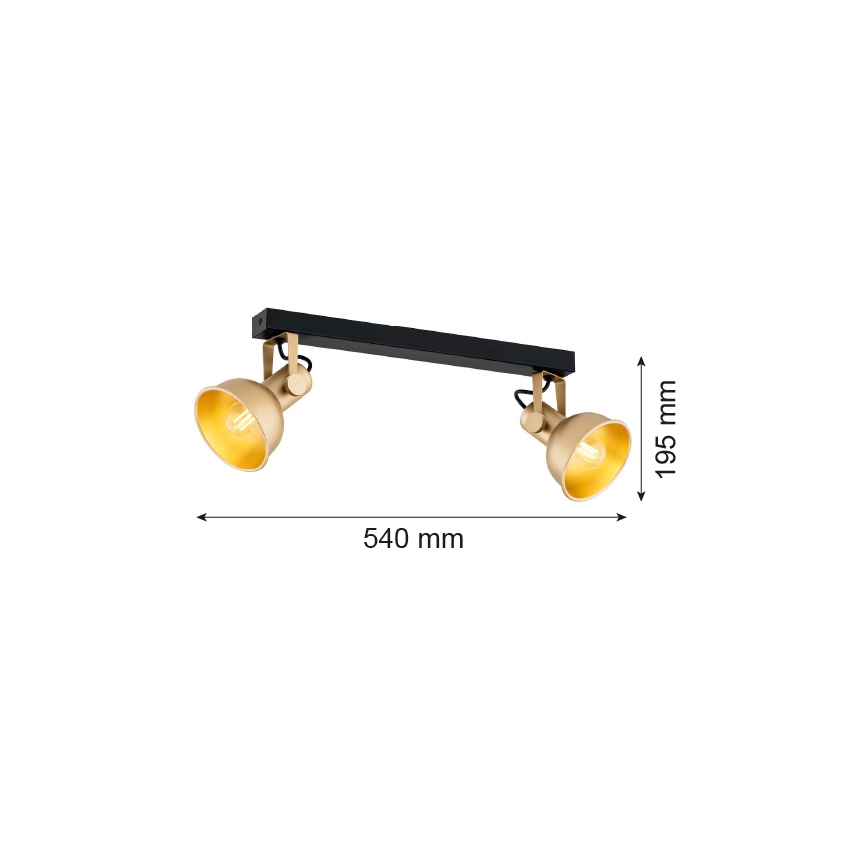Argon 7144 - Spotlight LENORA 2xE14/7W/230V guld/svart