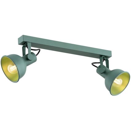 Argon 7174 - Spotlight LENORA 2xE14/7W/230V grön