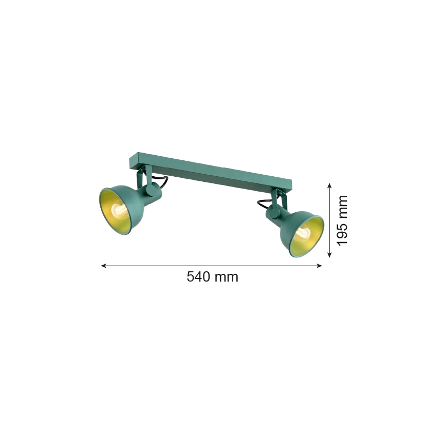 Argon 7174 - Spotlight LENORA 2xE14/7W/230V grön