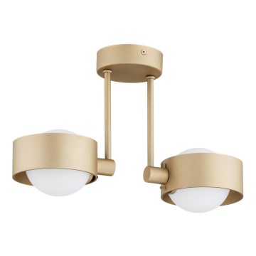 Argon 7215 - Badrum hängande ljuskrona MASSIMO PLUS 2xG9/6W/230V IP44 guld