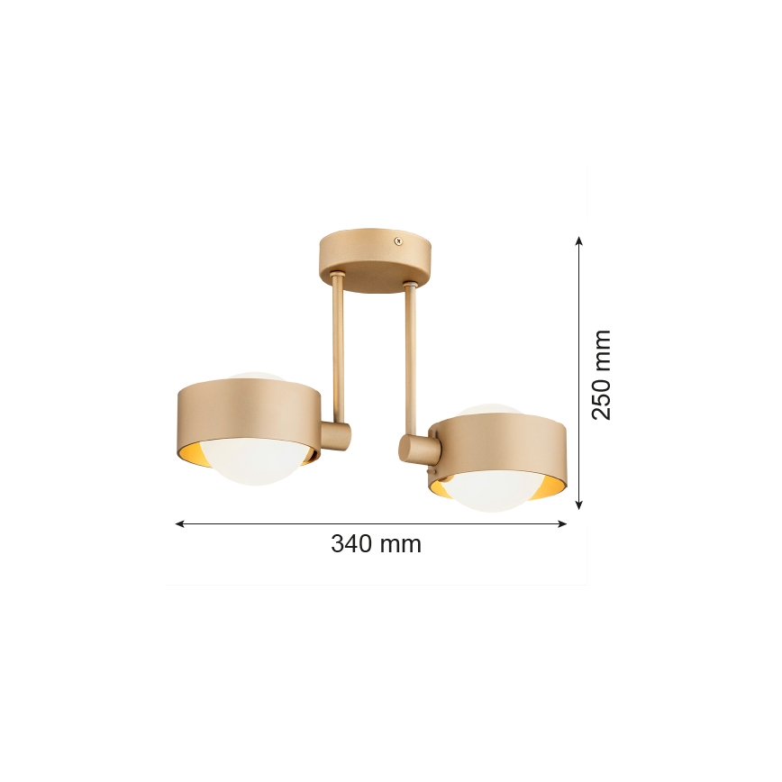 Argon 7215 - Badrum hängande ljuskrona MASSIMO PLUS 2xG9/6W/230V IP44 guld