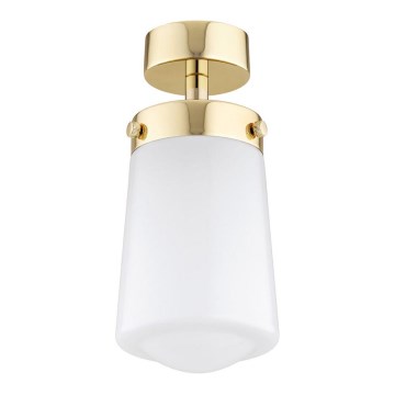 Argon 8005 - Surface-mounted ljuskrona PASADENA 1xE27/15W/230V guld/vit