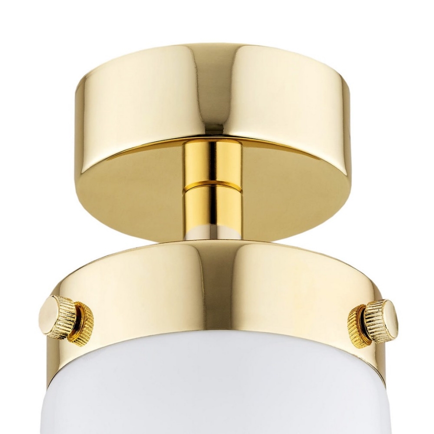 Argon 8005 - Surface-mounted ljuskrona PASADENA 1xE27/15W/230V guld/vit