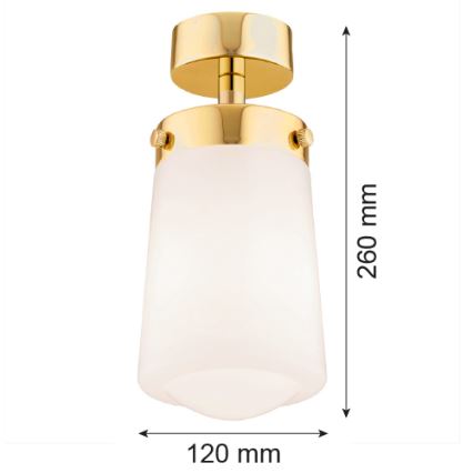 Argon 8005 - Surface-mounted ljuskrona PASADENA 1xE27/15W/230V guld/vit