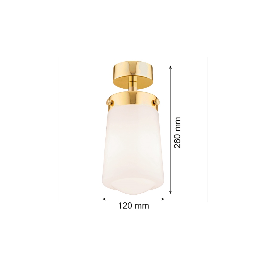 Argon 8005 - Surface-mounted ljuskrona PASADENA 1xE27/15W/230V guld/vit