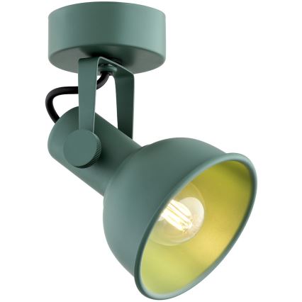 Argon 8299 - Spotlight LENORA 1xE14/7W/230V grön