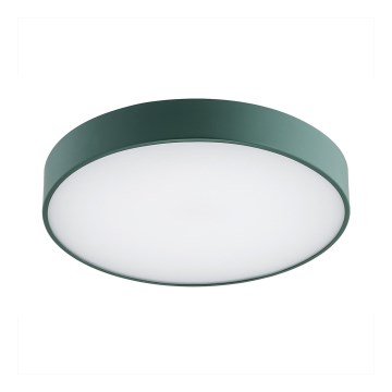 Argon 8335 - LED taklampa TIAMO LED/22W/230V 4000K grön