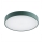 Argon 8335 - LED taklampa TIAMO LED/22W/230V 4000K grön