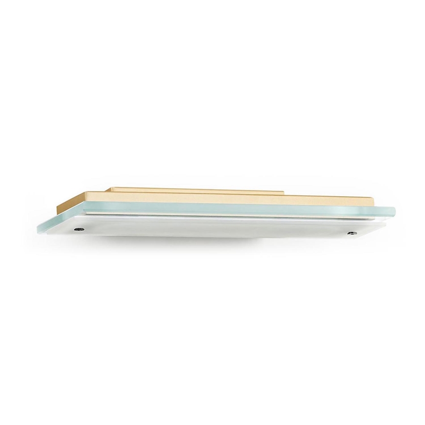 Argon 8363 - LED väggbelysning VELO LED/7,2W/230V 3000K guld/clear