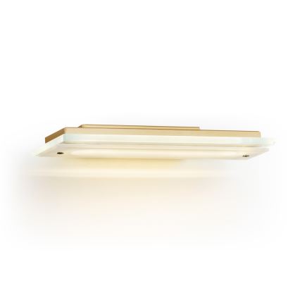 Argon 8363 - LED väggbelysning VELO LED/7,2W/230V 3000K guld/clear