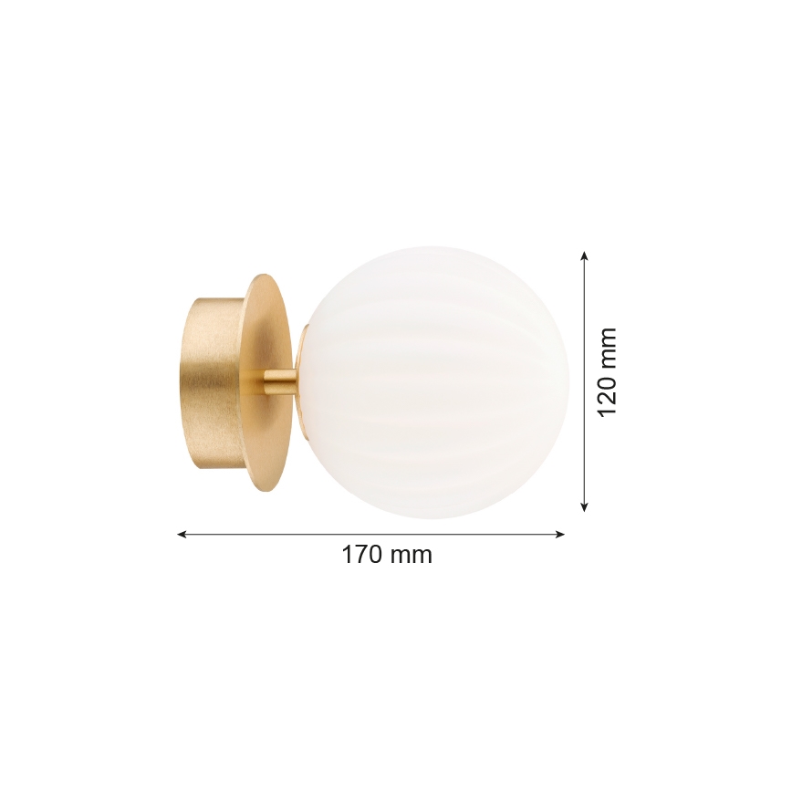 Argon 8504 - Vägglampa PALOMA 1xE14/7W/230V guld/vit