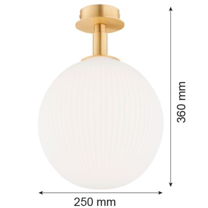 Argon 8505 - Taklampa PALOMA 1xE27/15W/230V guld/vit