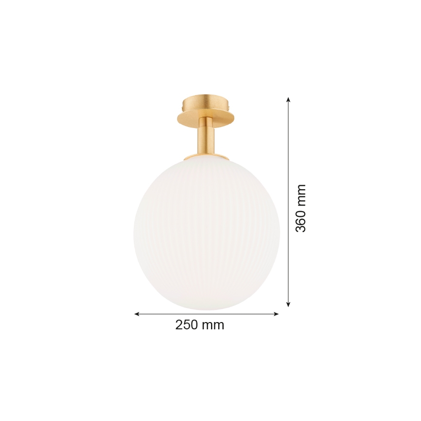 Argon 8505 - Taklampa PALOMA 1xE27/15W/230V guld/vit
