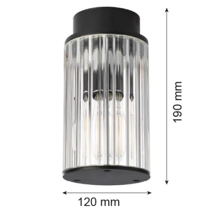 Argon 8773 - Taklampa för utomhusbruk NORFOLK 1xE27/15W/230V IP44 svart