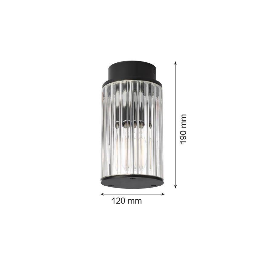 Argon 8773 - Taklampa för utomhusbruk NORFOLK 1xE27/15W/230V IP44 svart