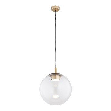 Argon 8828 - Ljuskrona med textilsladd SACRAMENTO 1xGX53/8W/230V genomskinlig/guld