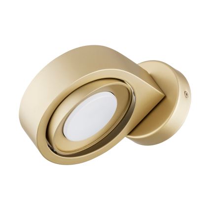 Argon 8899 - Vägglampa LOTUS 1xGX53/12W/230V guld