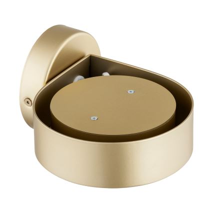 Argon 8899 - Vägglampa LOTUS 1xGX53/12W/230V guld