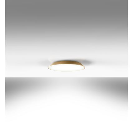 Artemide AR 0241320A - LED Takbelysning FEBE 4xLED/30W/230V