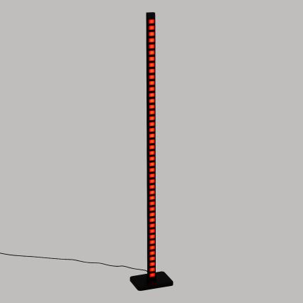 Atmosphera - LED RGB Dimbar golvlampa BI LED/230V + fjärrkontroll