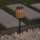 Atmosphera - LED Solarlampa ELAIS LED/1,2V 500 mAh IP44
