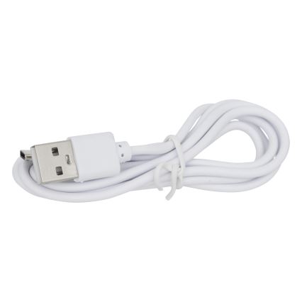 Atmosphera - LED solcellslampa KESY LED/1,2V 2200 mAh IP44