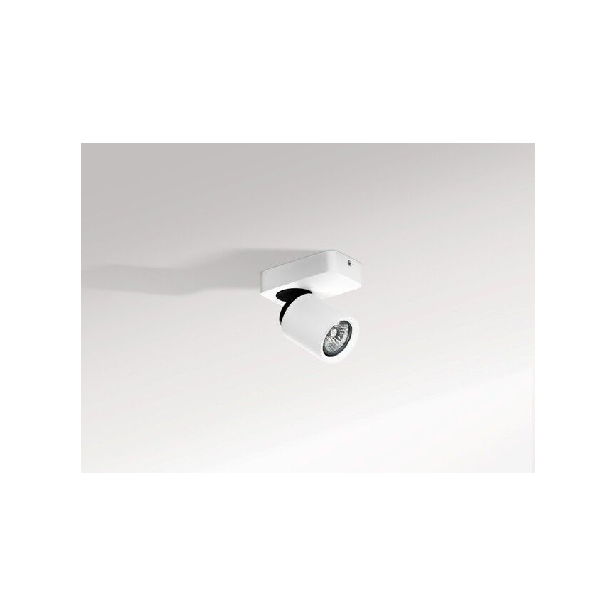 Azzardo AZ0662 - Spotlight TOMI 1xGU10/50W/230V