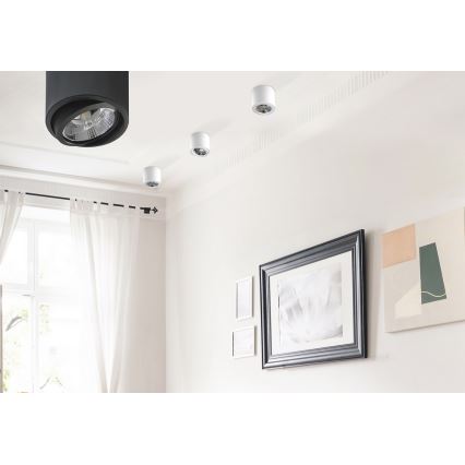 Azzardo AZ1356 - Takbelysning ALIX 1xG53/50W/230V/12V