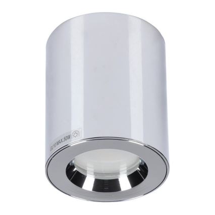 Azzardo AZ1360 - Utomhus Takbelysning ARO 1xGU10/50W/230V IP54