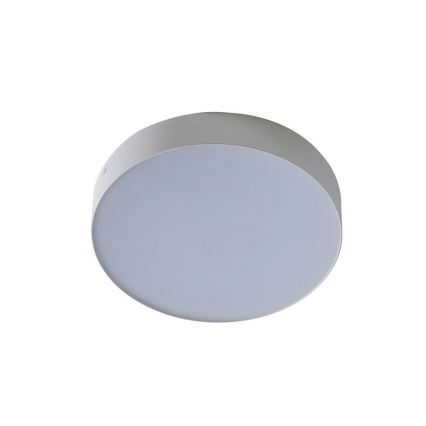 Azzardo AZ2261 - LED Takbelysning MONZA 1xLED/20W/230V