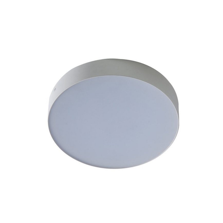 Azzardo AZ2261 - LED Takbelysning MONZA 1xLED/20W/230V