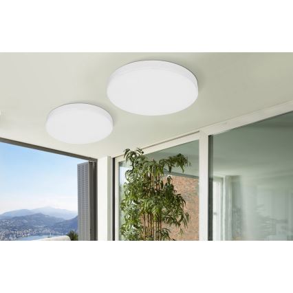 Azzardo AZ2264 - LED Takbelysning MONZA 1xLED/50W/230V