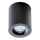 Azzardo AZ2558 - Utomhus Takbelysning ARO 1xGU10/50W/230V IP54