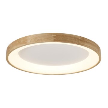 Azzardo AZ2698 - LED Takbelysning SILVAM 1xLED/50W/230V