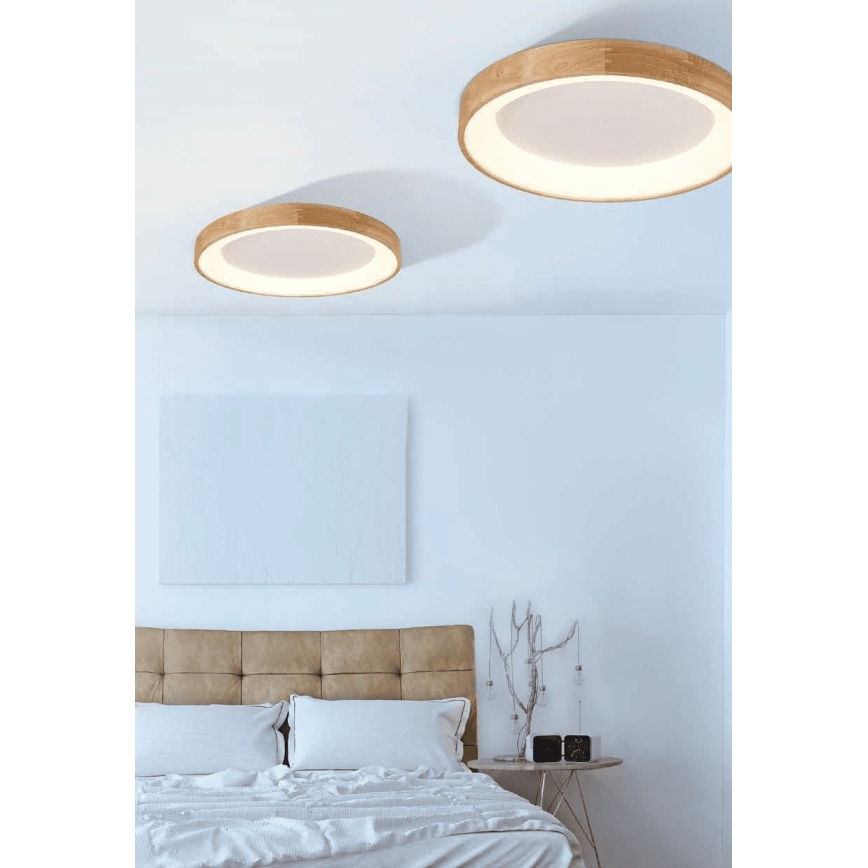 Azzardo AZ2698 - LED Takbelysning SILVAM 1xLED/50W/230V