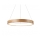 Azzardo AZ2699 - LED Ljuskrona med snöre SILVAM 1xLED/50W/230V