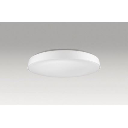 Azzardo AZ2741 - LED Takbelysning CORTONA 1xLED/50W/230V 3000K
