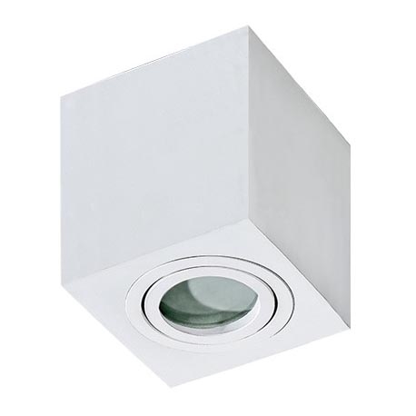 Azzardo AZ2822 - Badrumsbelysning tak BRANT 1xGU10/50W/230V IP44