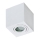 Azzardo AZ2822 - Badrumsbelysning tak BRANT 1xGU10/50W/230V IP44