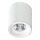 Azzardo AZ2845 - LED Takbelysning MANE 1xLED/10W/230V
