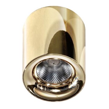Azzardo AZ2846 - LED Takbelysning MANE 1xLED/10W/230V