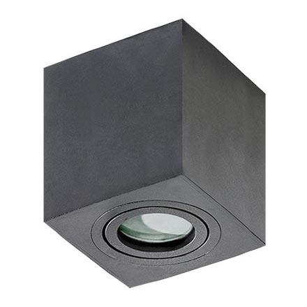Azzardo AZ2878 - Badrumsbelysning tak BRANT 1xGU10/50W/230V IP44