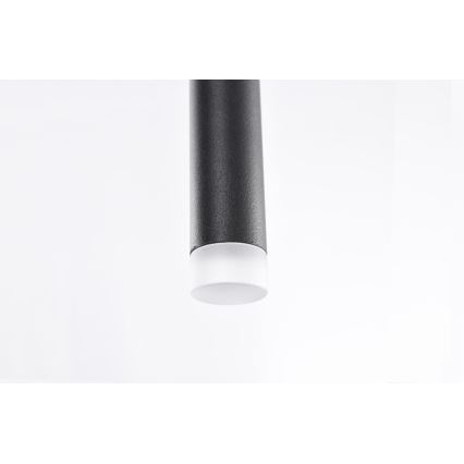 Azzardo AZ3155 - LED Ljuskrona med snöre LOUISE LED/3W/230V